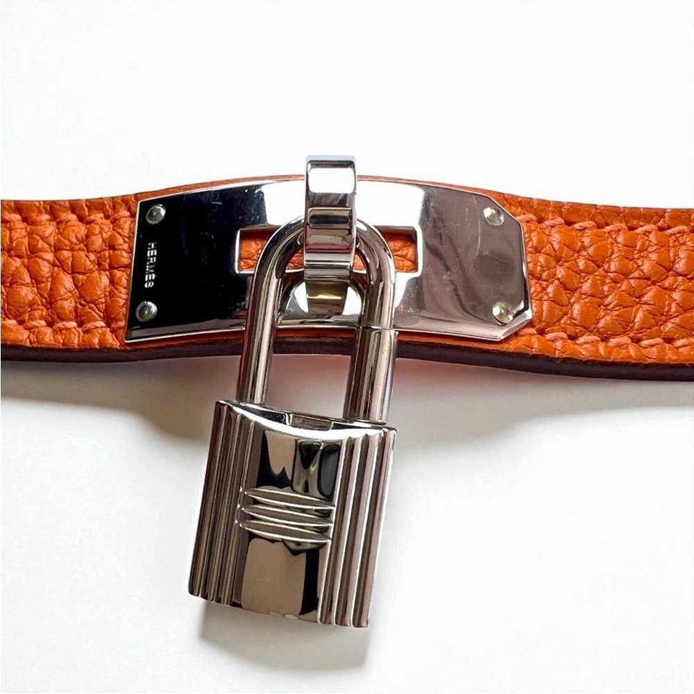Hermes Orange Pet Collar and Leash Set - Picture 6 of 16